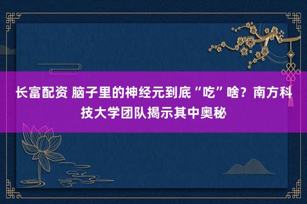 长富配资 脑子里的神经元到底“吃”啥？南方科技大学团队揭示其中奥秘