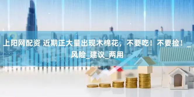 上阳网配资 近期正大量出现木棉花，不要吃！不要捡！_风险_建议_两用