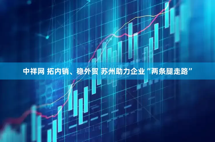 中祥网 拓内销、稳外贸 苏州助力企业“两条腿走路”