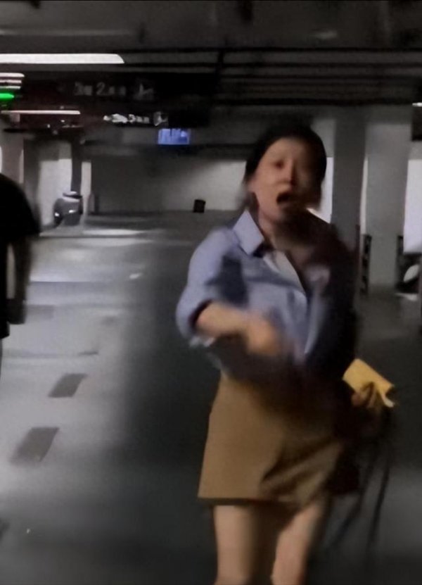壹资网 反转! 杜宾犬冲向孩子后续, 受害者骂狗在先, 狗主人被扒视频曝光