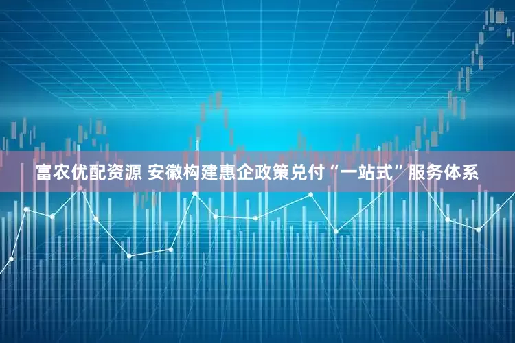 富农优配资源 安徽构建惠企政策兑付“一站式”服务体系