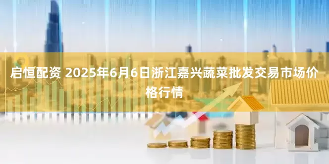 启恒配资 2025年6月6日浙江嘉兴蔬菜批发交易市场价格行情